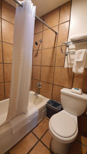 Bathroom 4, Rodeway Inn Flagstaff-Downtown, Coconino