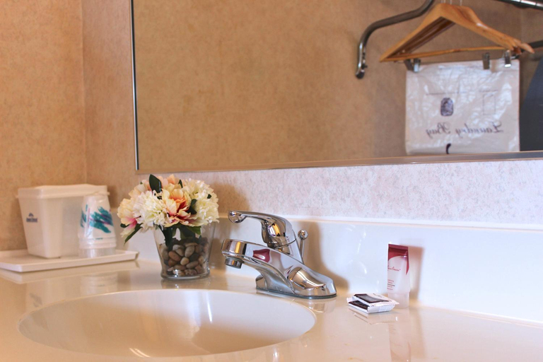 Bathroom 4, Regency Inn Richmond, Henrico