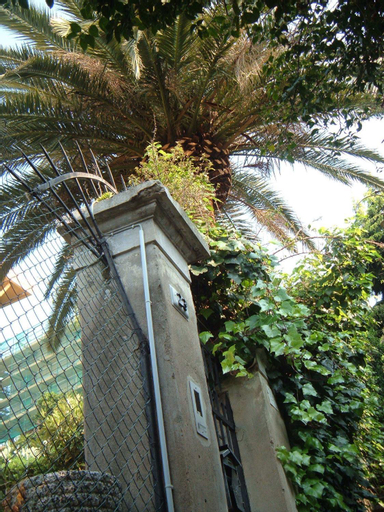 L'Oasi, Genova