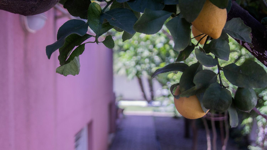 Food & Drinks, Villa Nepi apartments, Cagliari