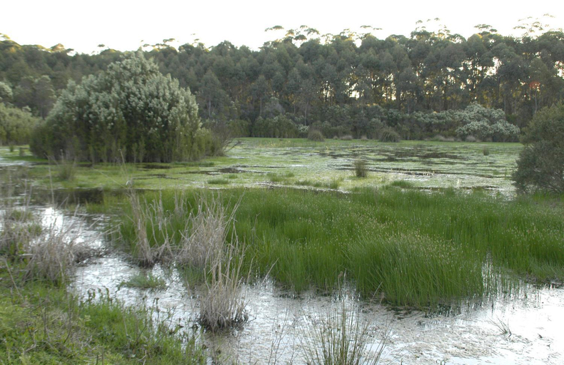 Others 3, Bewong River Retreat, Shoalhaven - Pt B