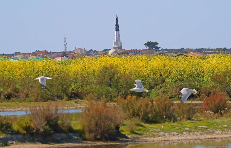 Others 5, La Passerose 3 pieces avec jardin au calme,a 300m de la plage,, Charente-Maritime