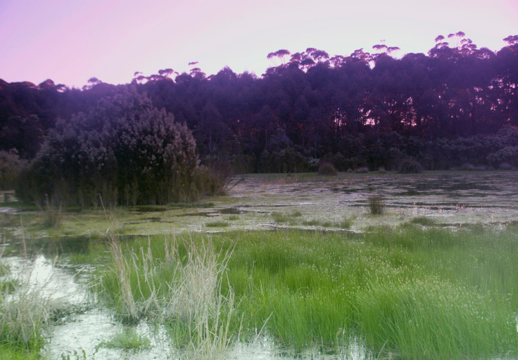 Others 4, Bewong River Retreat, Shoalhaven - Pt B