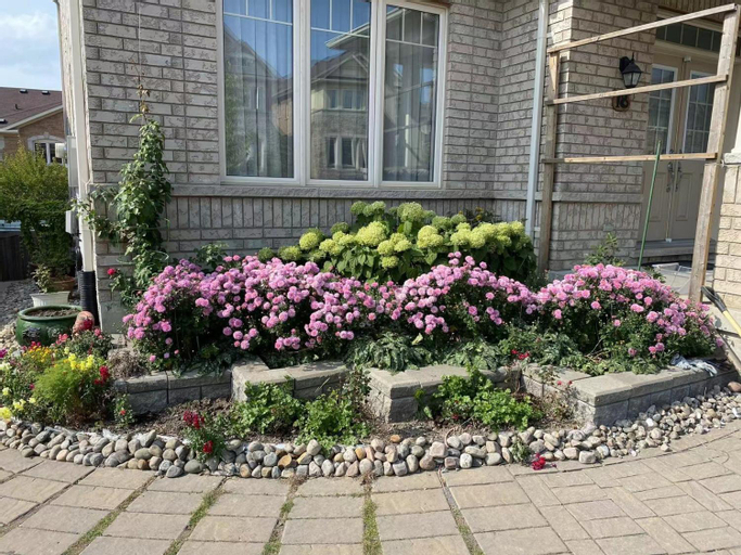 Cozy Home in Richmond Hill with Free Parking, York