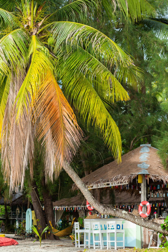 Exterior & Views 1, Pawapi Beach Resort Koh Mook, Kantrang