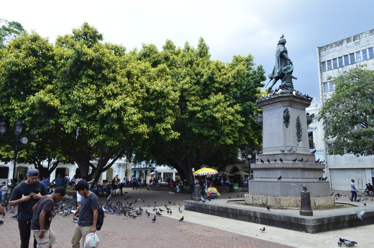 Others 3, Canapalma Zona Colonial, Distrito Nacional