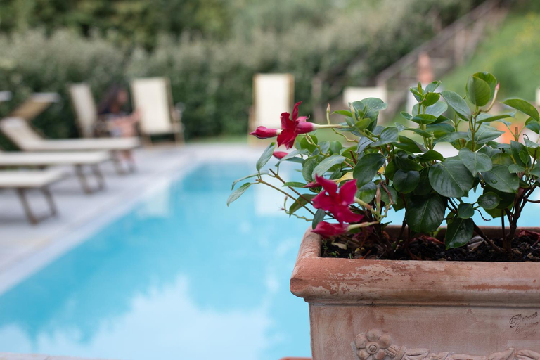 Others 4, Agriturismo Villa Le Vigne, Arezzo