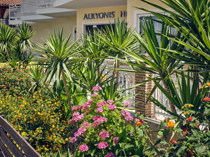 Exterior & Views 2, Alkyonis Hotel, Ionian Islands
