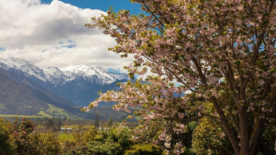 Others 4, Ardara Lodge Bed & Breakfast, Kaikoura