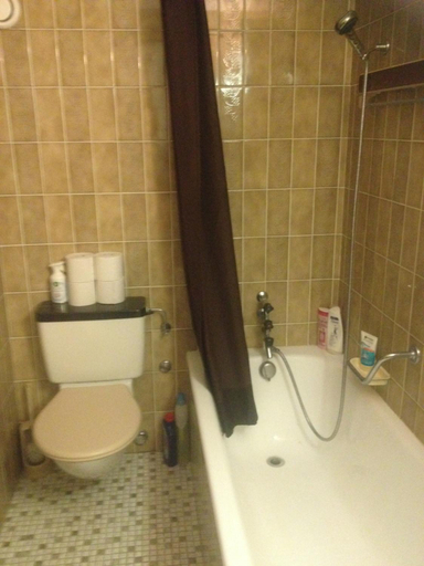 Bathroom 2, Cosy&Romantic Chalet-Style Flat with Mountain View, Monthey