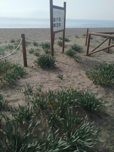 Others 4, Suites Beach Nature, Málaga