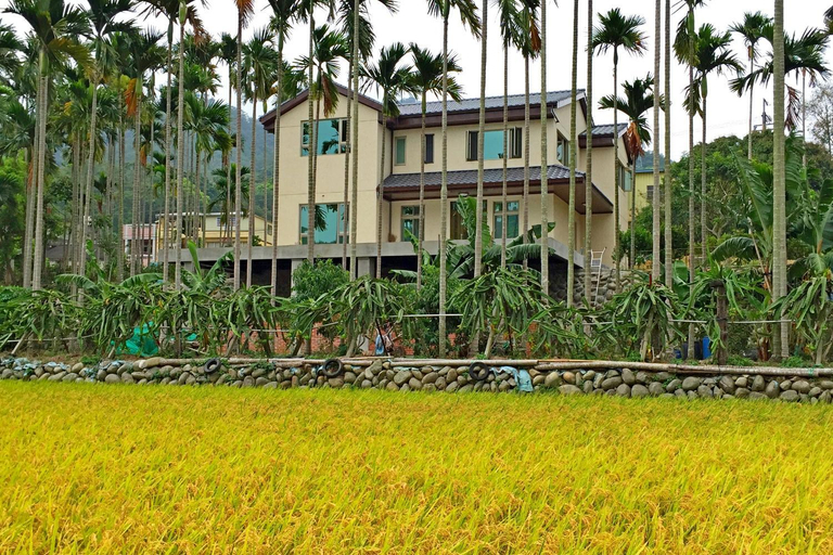 Others 5, Love B&B, Miaoli