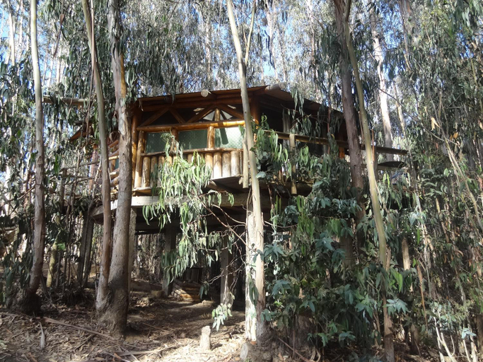 Others 5, Cabanas Curi-Huapi, San Antonio
