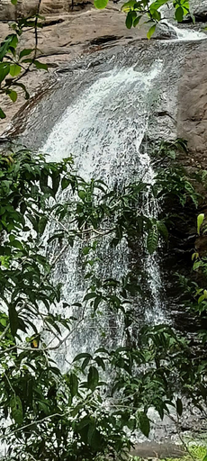 Others 2, Four Acre Woods Farm Stay, Munnar, Idukki