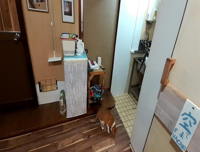 Others 3, TOMI in Shimoda, Shimoda