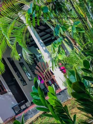 Others 3, backpackers hostel sigiriya, Dambulla