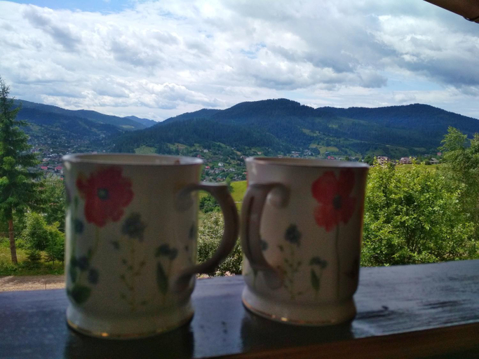 Food & Drinks 5, Milana Guesthouse, Skolivs'kyi