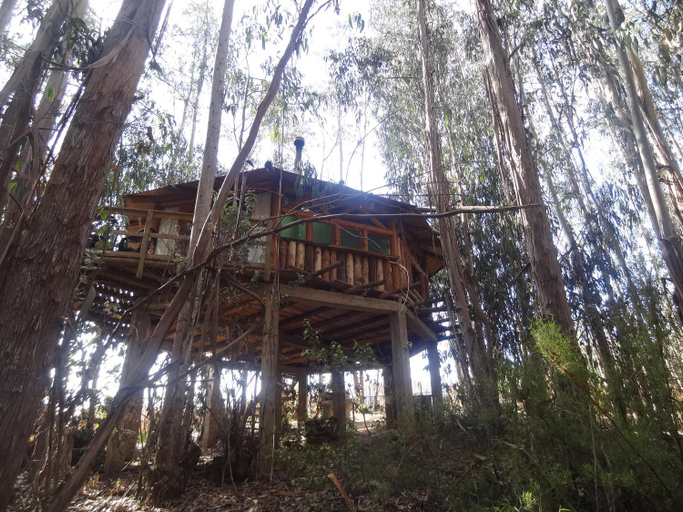 Others 3, Cabanas Curi-Huapi, San Antonio