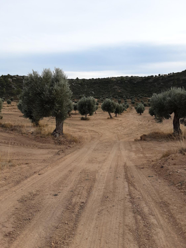 Others 4, Campo Golden Heritage OFF GRID, Zaragoza