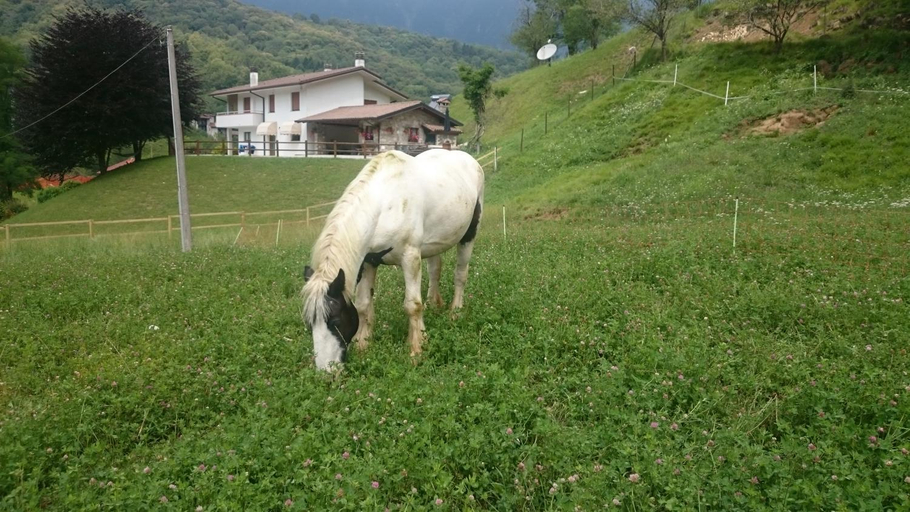Others 2, B&B IN FATTORIA, Pordenone