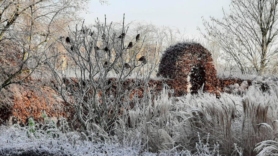 Others 4, Bed & Breakfast De Stippelberg, Gemert-Bakel