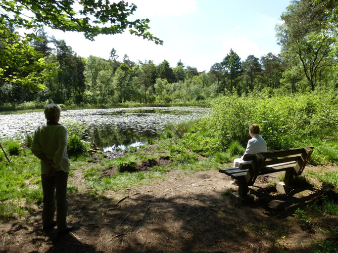 Others 3, Achter de Beukenboom, Noordenveld