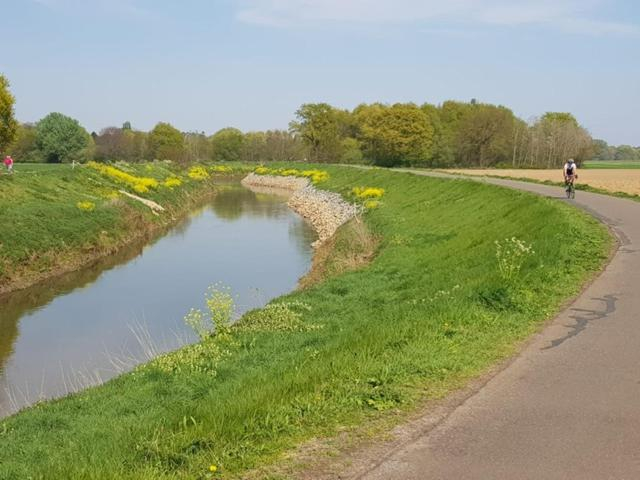 Others 5, Boslucht Leuven, Vlaams Brabant