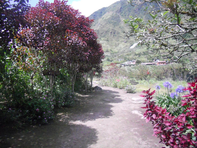 Others 3, Bosque Protector Hacienda Guamag, Baños