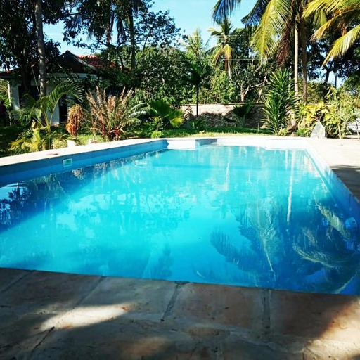 Others 5, Cycad Palm Diani, Msambweni