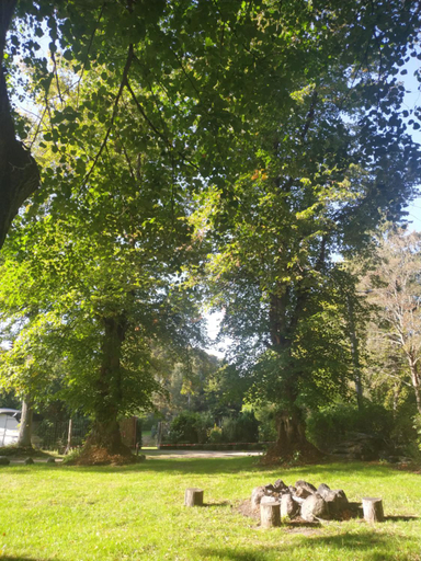 Others 2, Bed & Breakfast - Warnileg, Drawsko