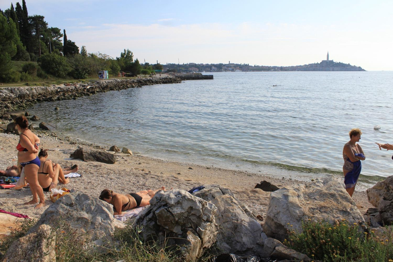 Others 5, Apartments and rooms by the sea Rovinj - 19183, Rovinj