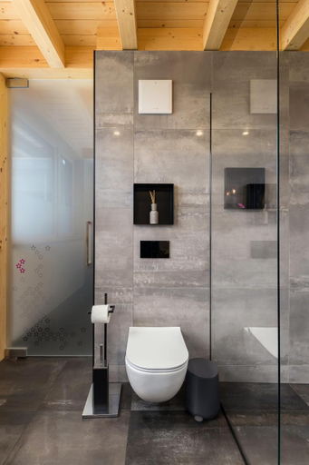 Bathroom 5, Hisa Krizaj, Bohinj