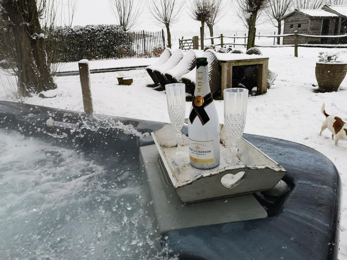 Sport & Beauty 2, Casa Leone near Bruges with jacuzzi & parking, West-Vlaanderen