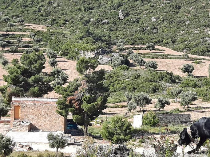 Others 2, Campo Golden Heritage OFF GRID, Zaragoza
