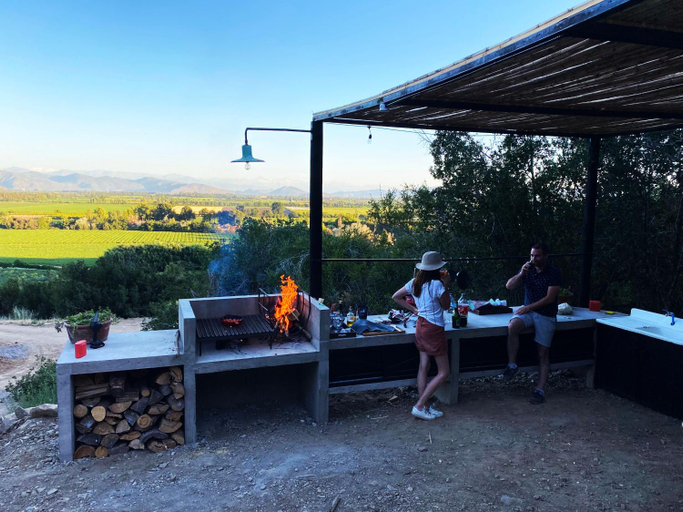 Food & Drinks 4, Palcos de Apalta, Colchagua