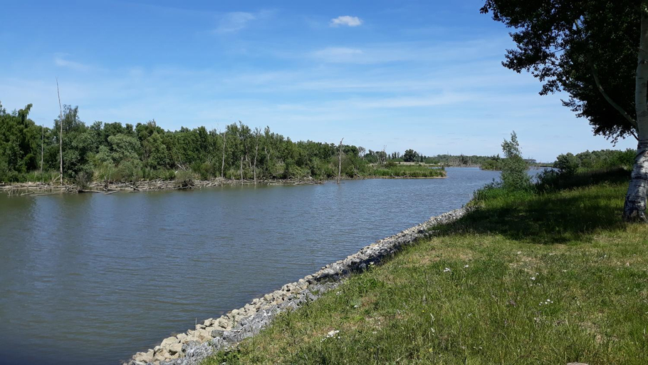 Others 4, Biesbosch Bed & Breakfast Werkendam, Werkendam
