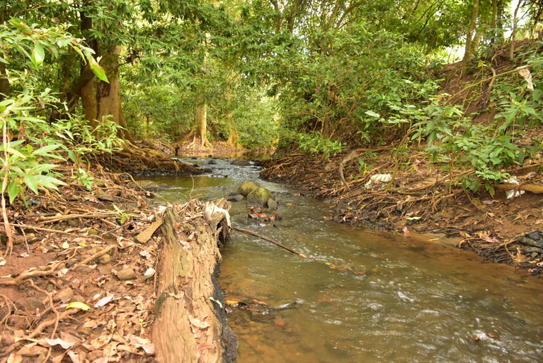 Others 4, Jungle View River Camping, Embilipitiya