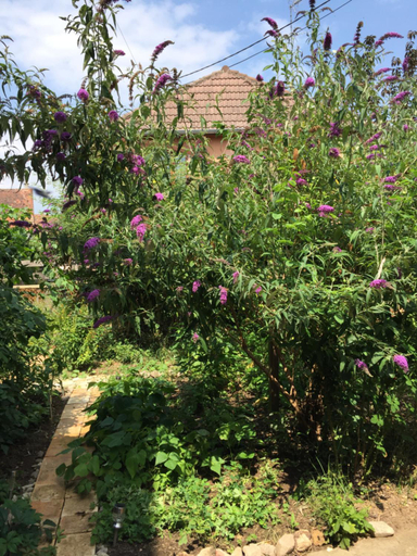 Others 4, Chambre spacieuse dans joli village alsacien, Bas-Rhin