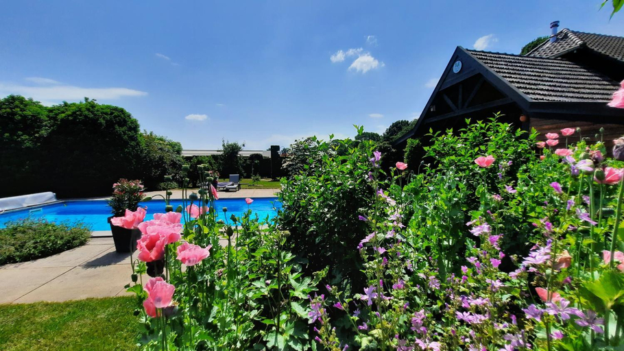 Sport & Beauty 4, Bed & Breakfast De Stippelberg, Gemert-Bakel