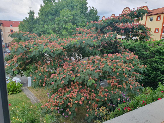 Exterior & Views 3, Villa Argentine T2 classe 2* theme cosy, Landes