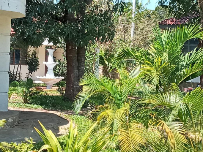 Others 5, Cycad Palm Diani, Msambweni
