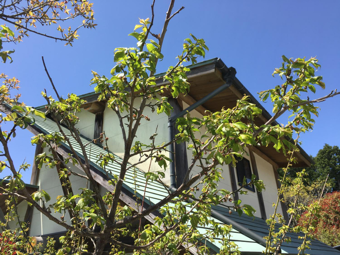 Exterior 5