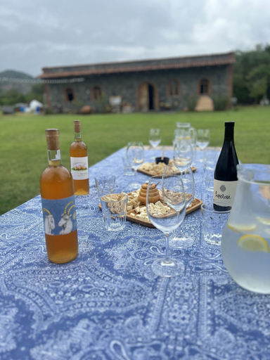 Food & Drinks 5, Chubini winery & cabins, Kvareli