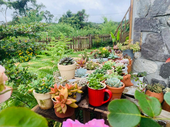 Others 5, Pinky Moon House Mang Đen, Kon Plông