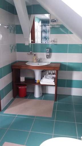 Bathroom 3, Pensiunea Albinuta, Ozun