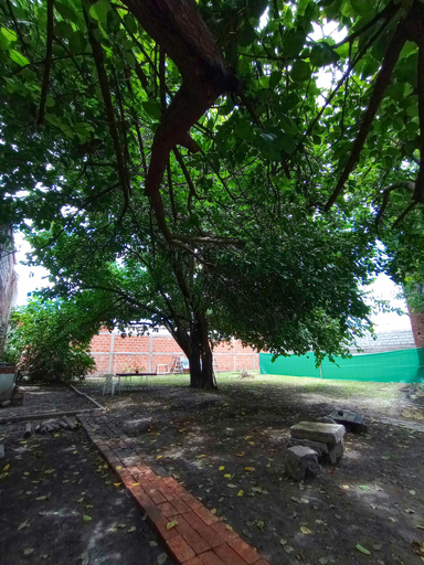 Others 5, casa nuestra hostal, Capital