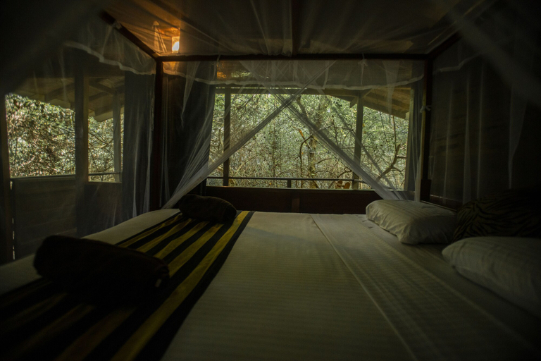 Room 2, Inn On The Tree Eco Resort Sigiriya, Dambulla