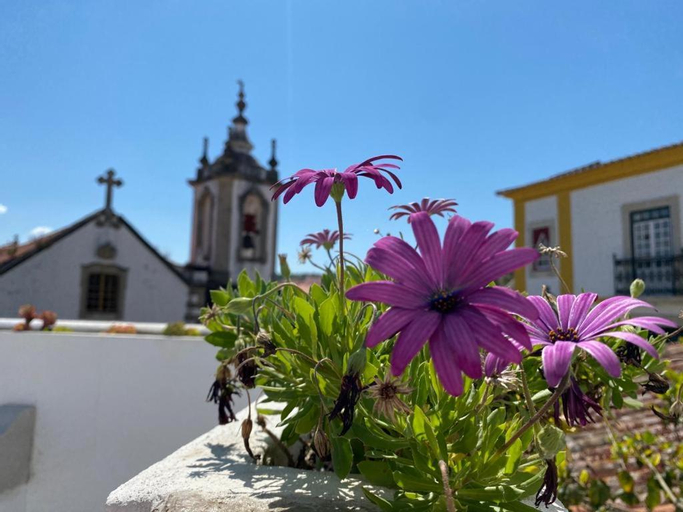Casa do Toupeiro, Óbidos