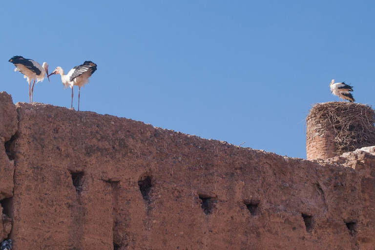 Others 5, Riad Of The Storks, Marrakech
