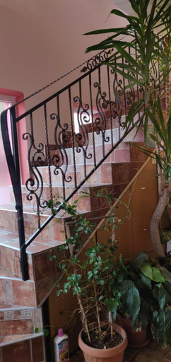 Others 5, Casa Terzea, Rasnov